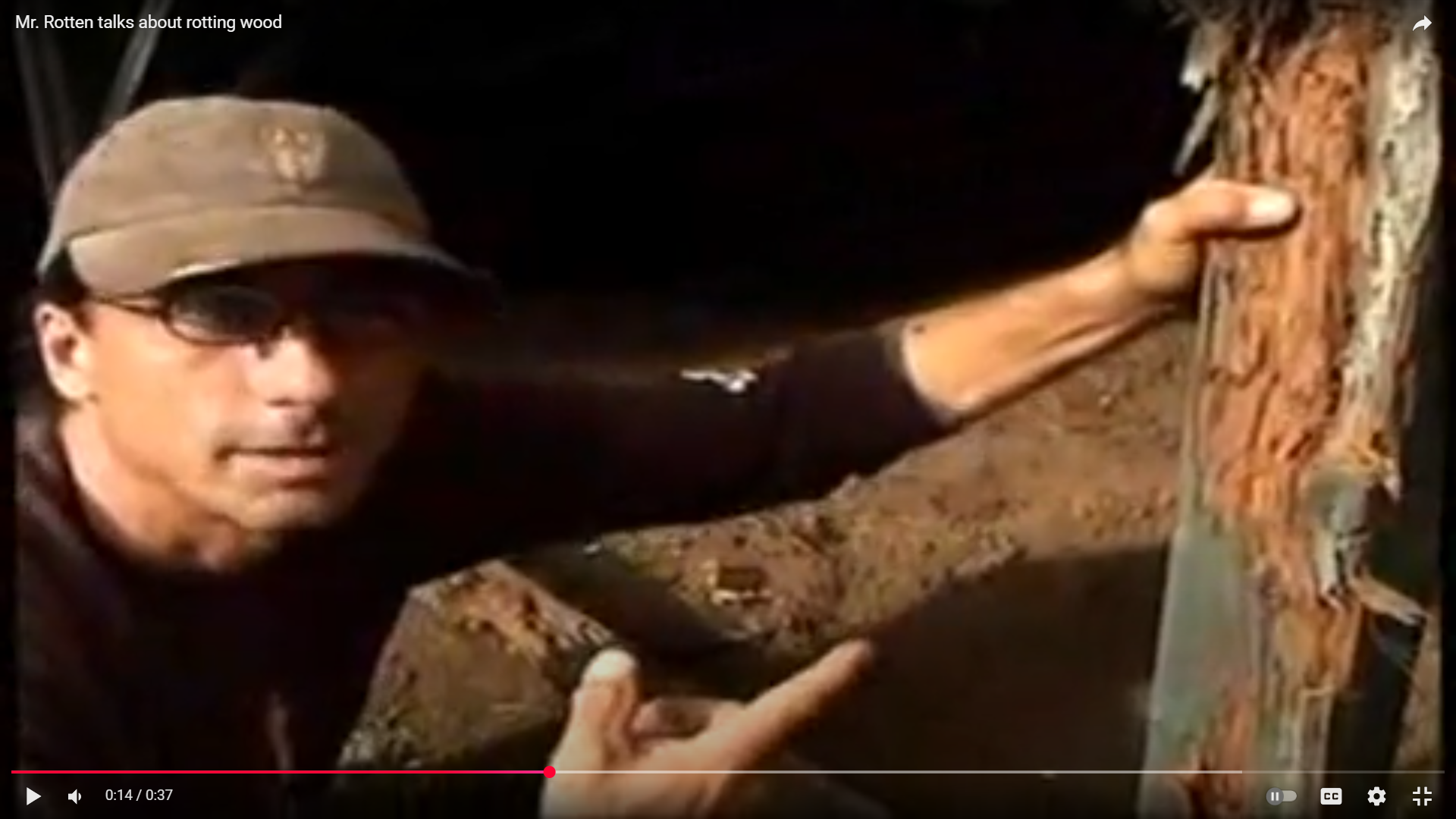 Mr. Rotten showing severely rotted and termite-damaged wood